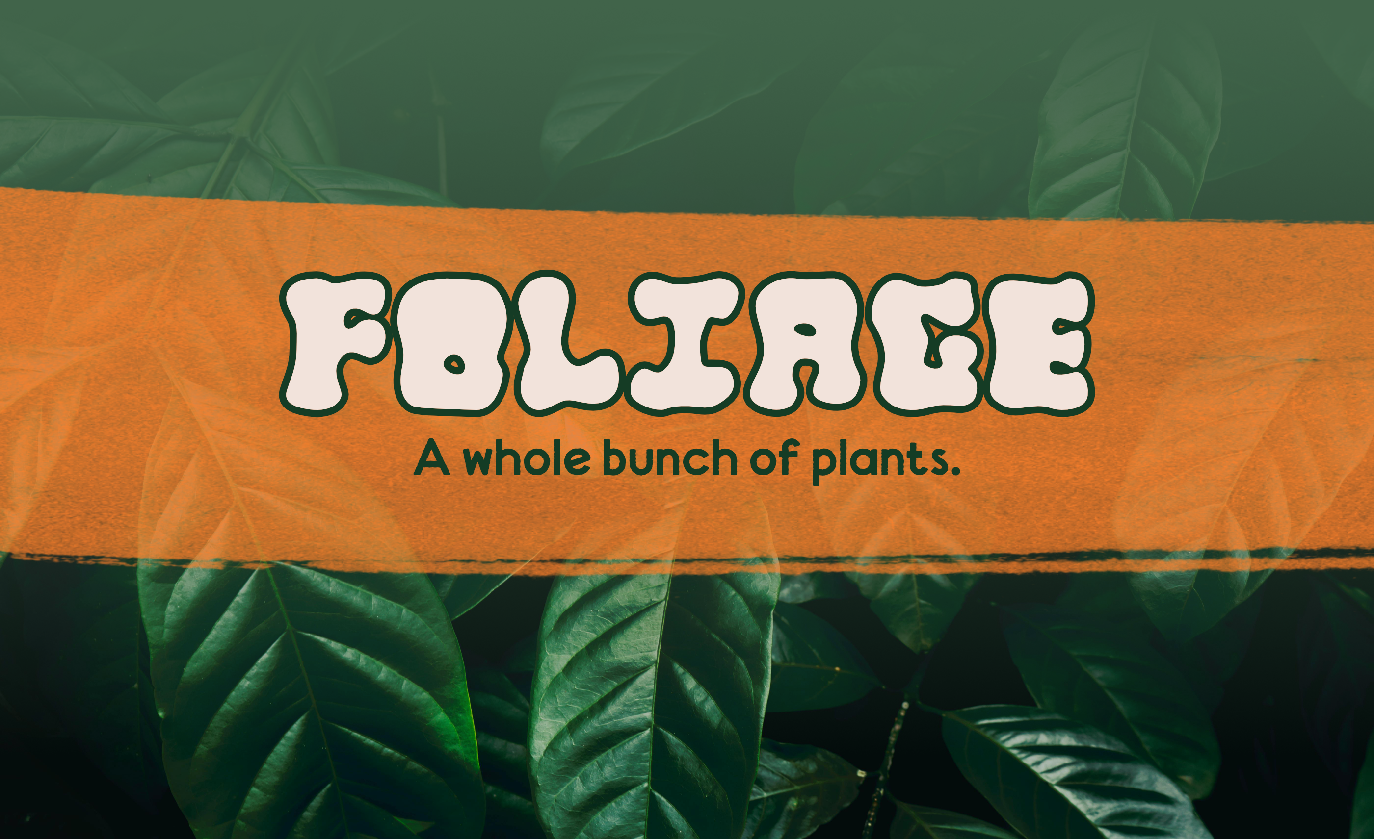 The words “foliage: a whole bunch of plants” is written in green on top of an orange streak of paint. The background of the image is a bed of glossy green leaves.